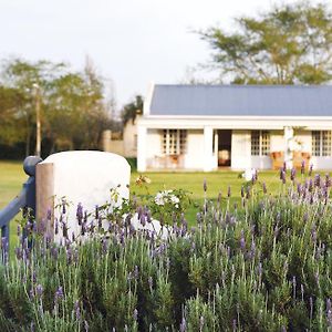 Double Cottage